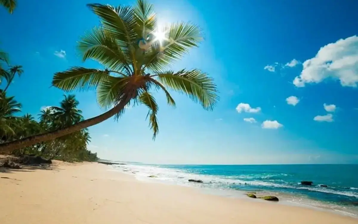 Beach hotel accomodations in Sri Lanka