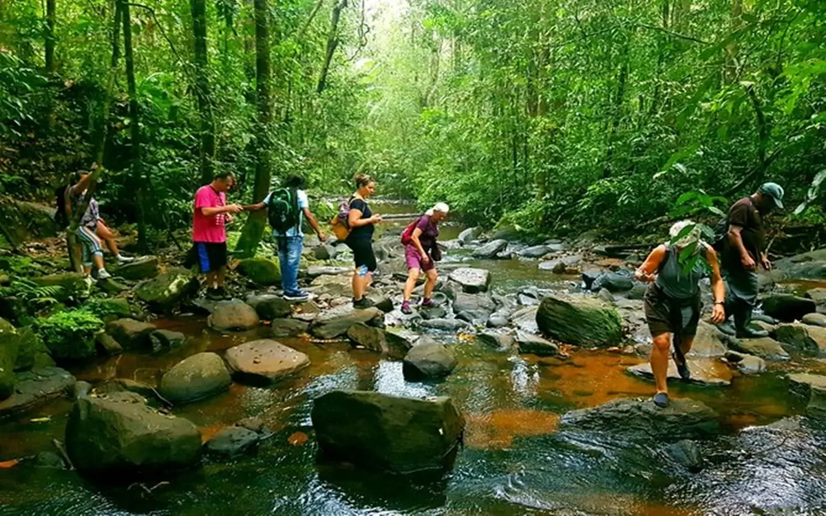 Sinharaja Forest in Sri Lanka