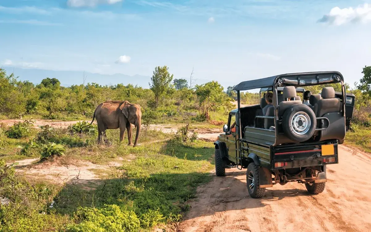Beach Tours in Sri Lanka