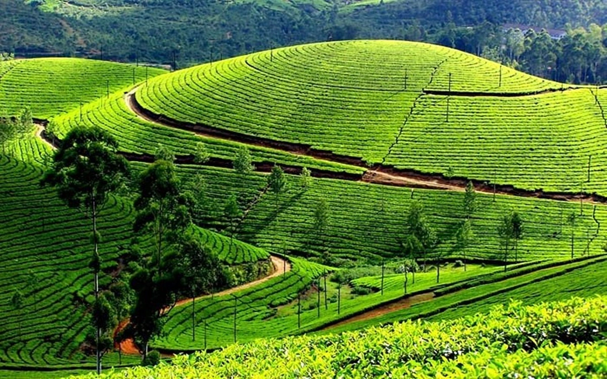 Best places to travel in Sri Lanka